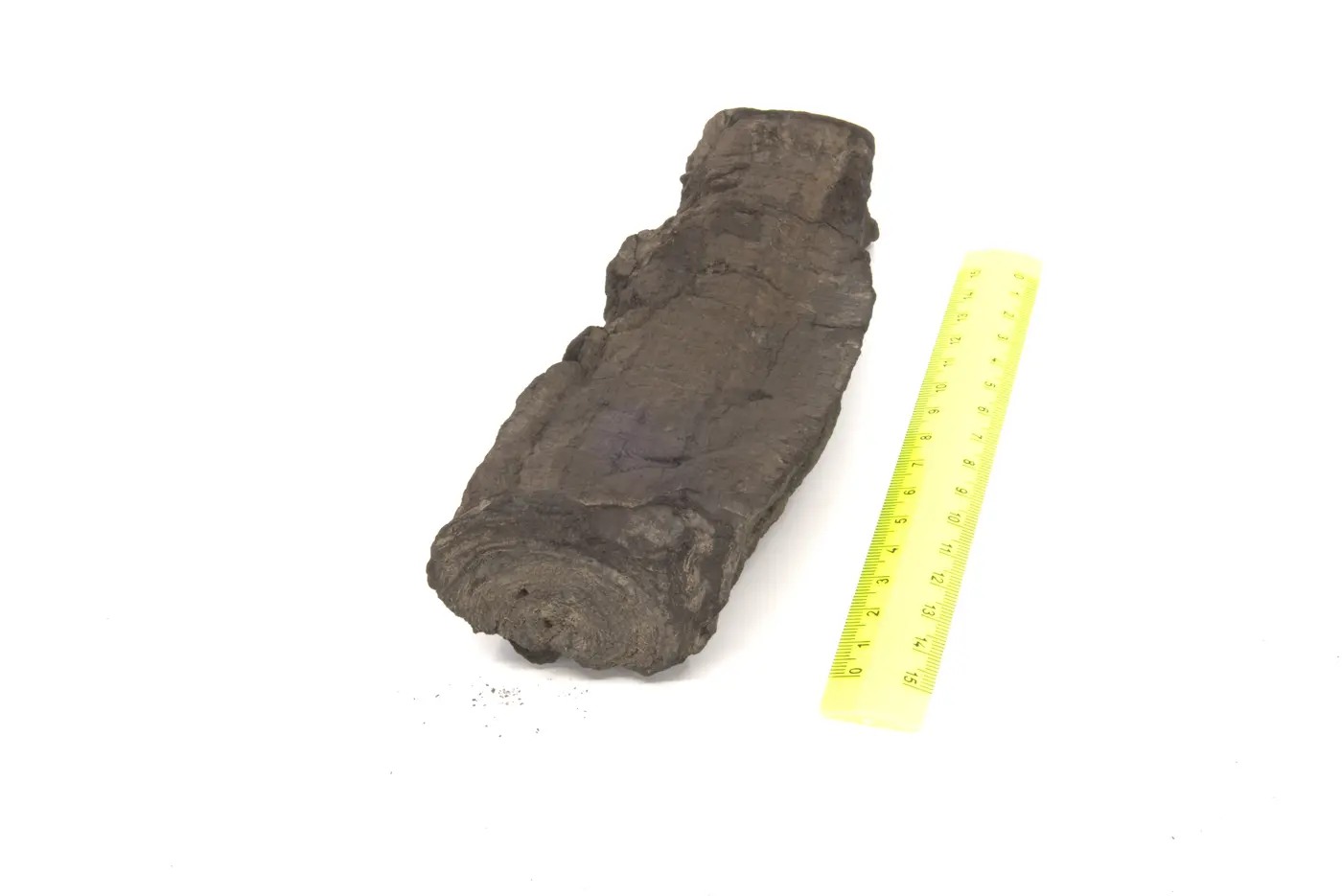 Photograph of PHerc0125