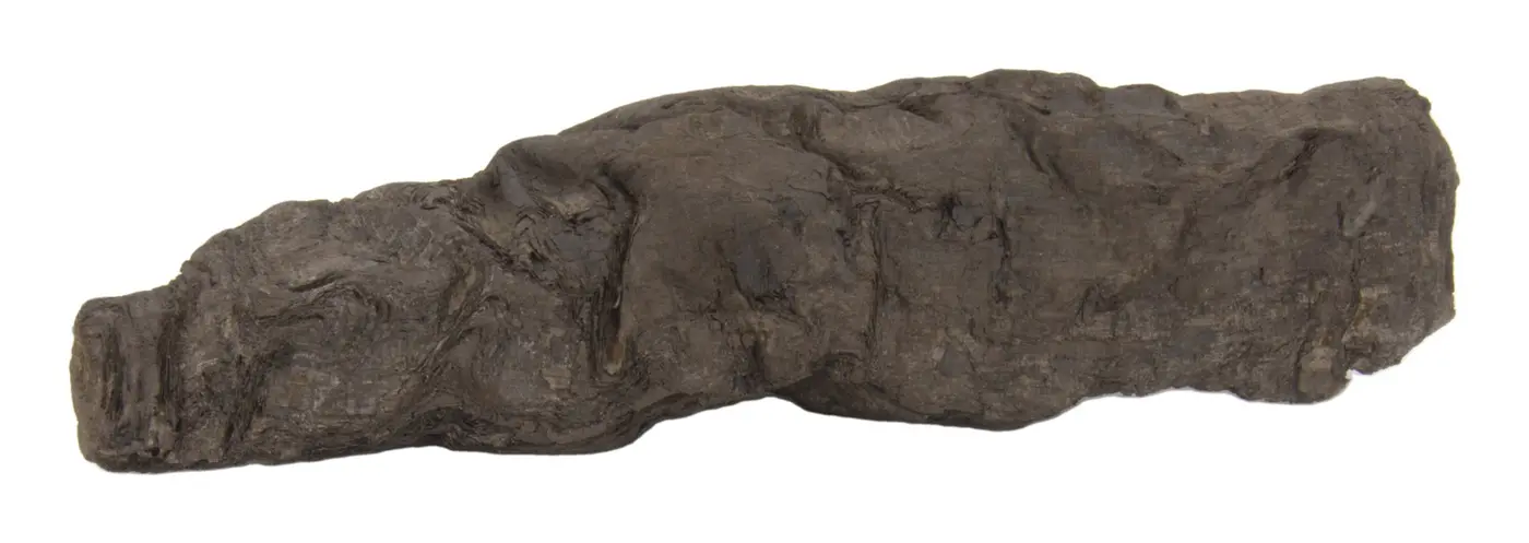 Photograph of PHerc. 139