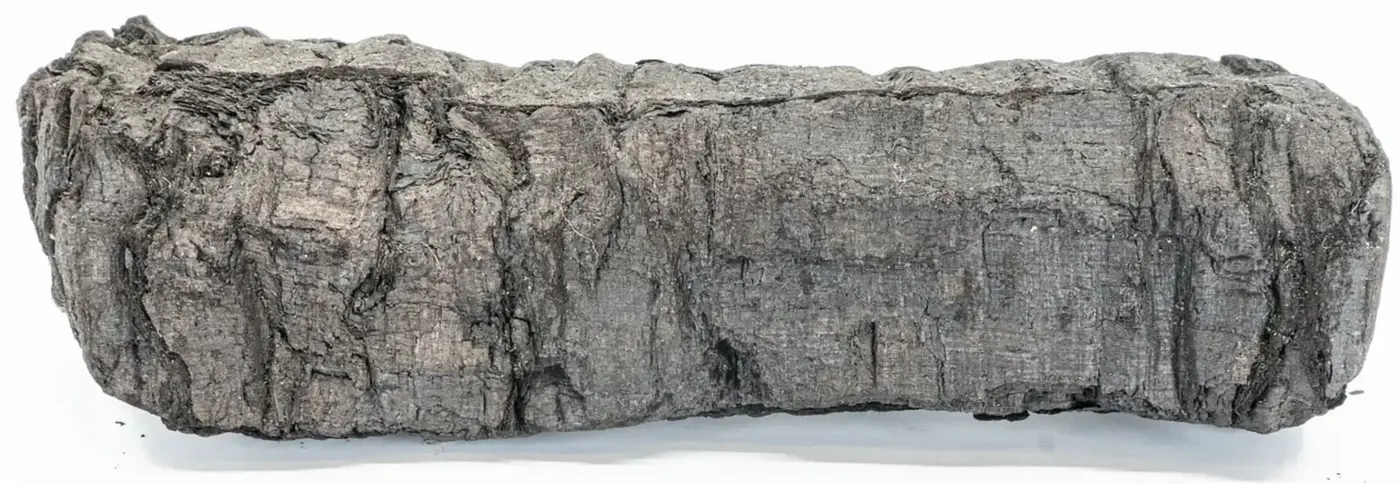 Photograph of PHerc0172