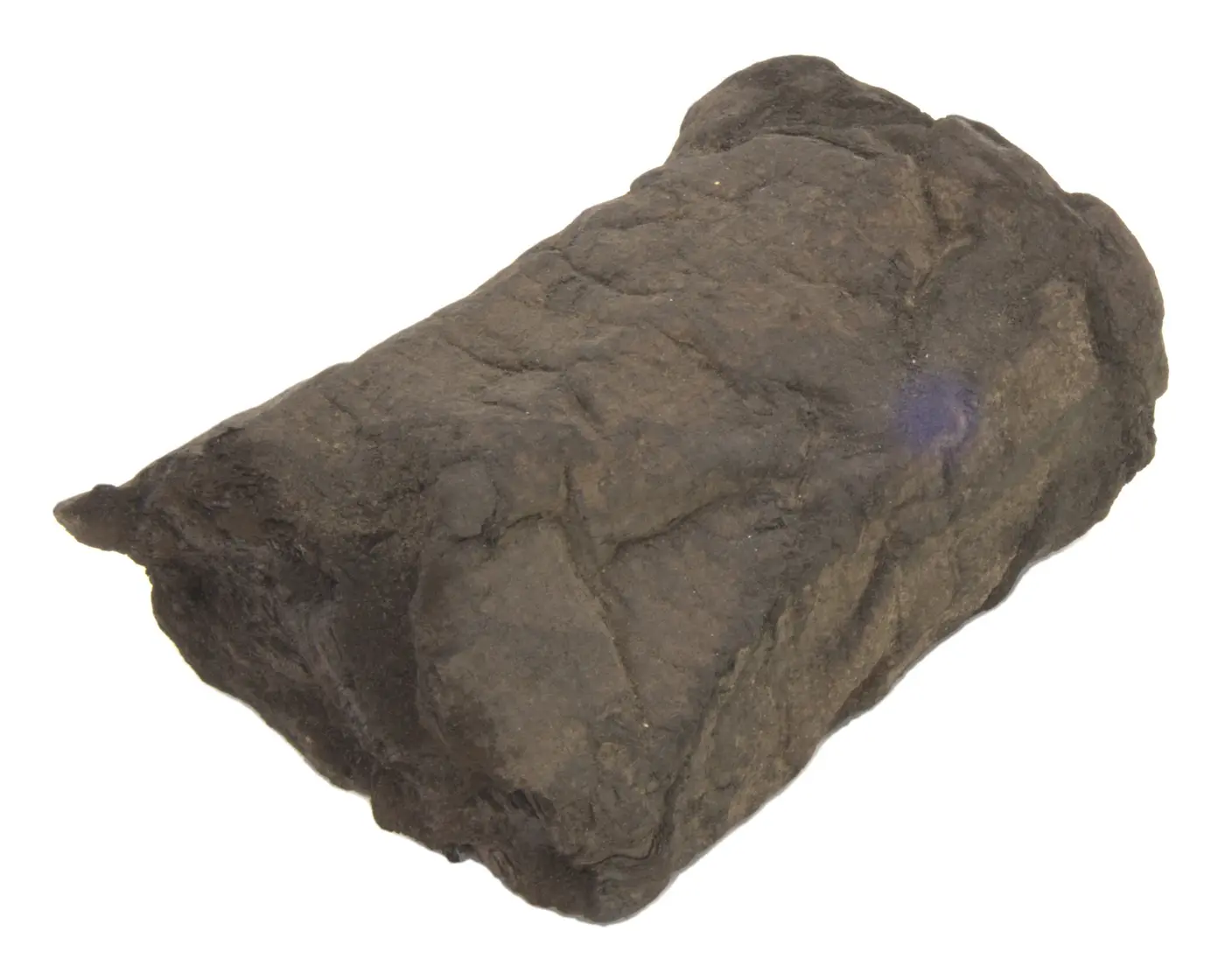 Photograph of PHerc. 175A