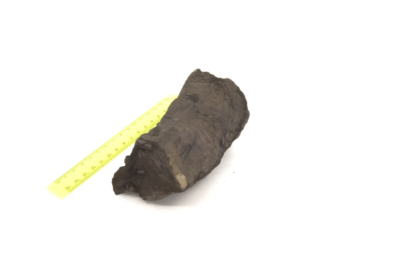 Photograph of PHerc0175B
