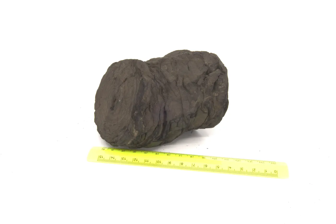 Photograph of PHerc0268