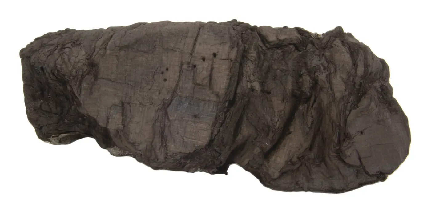 Photograph of PHerc. 343