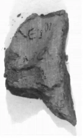Photograph of PHerc0343P