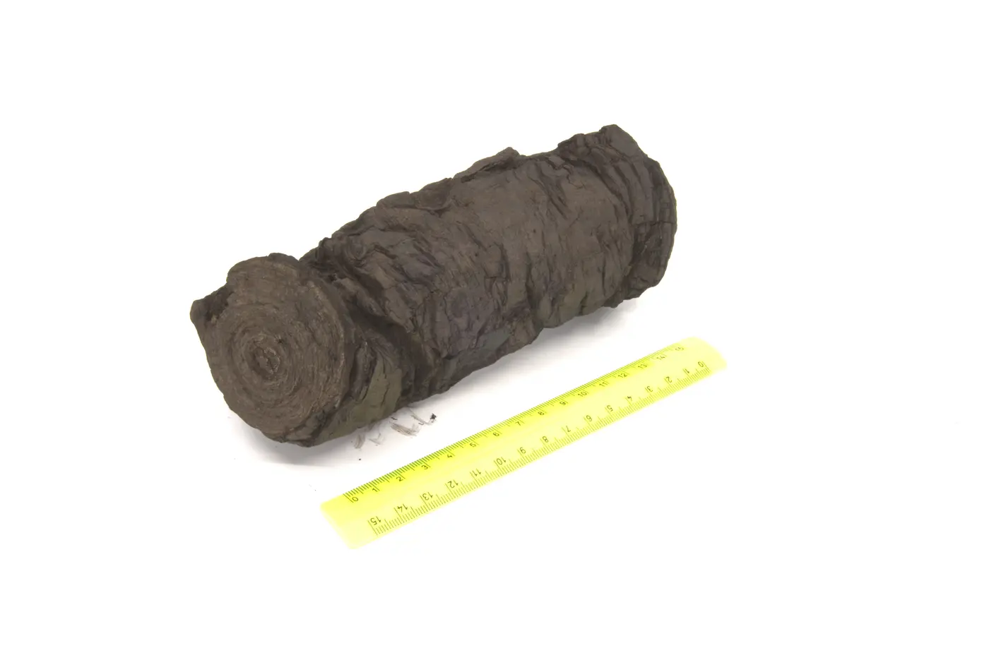 Photograph of PHerc0800
