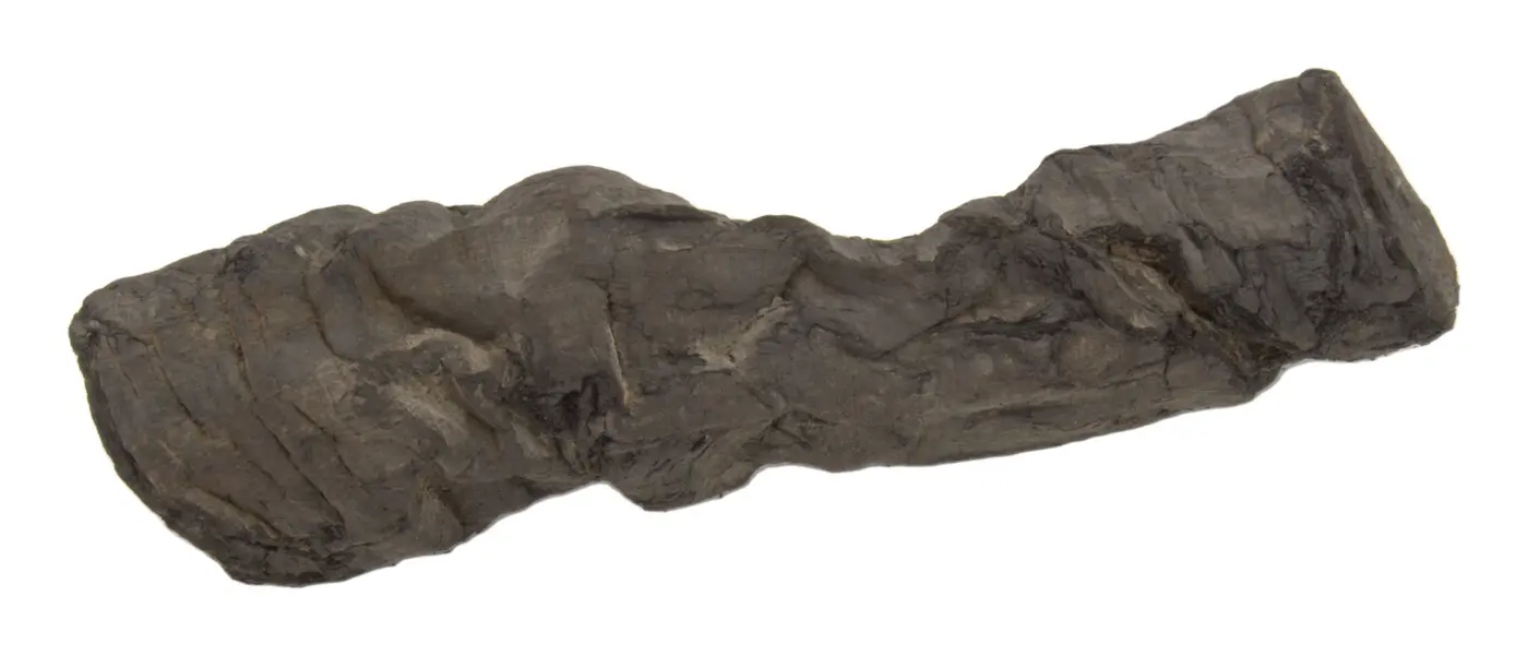 Photograph of PHerc. 814