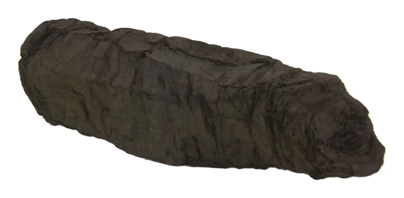 Photograph of PHerc. 841