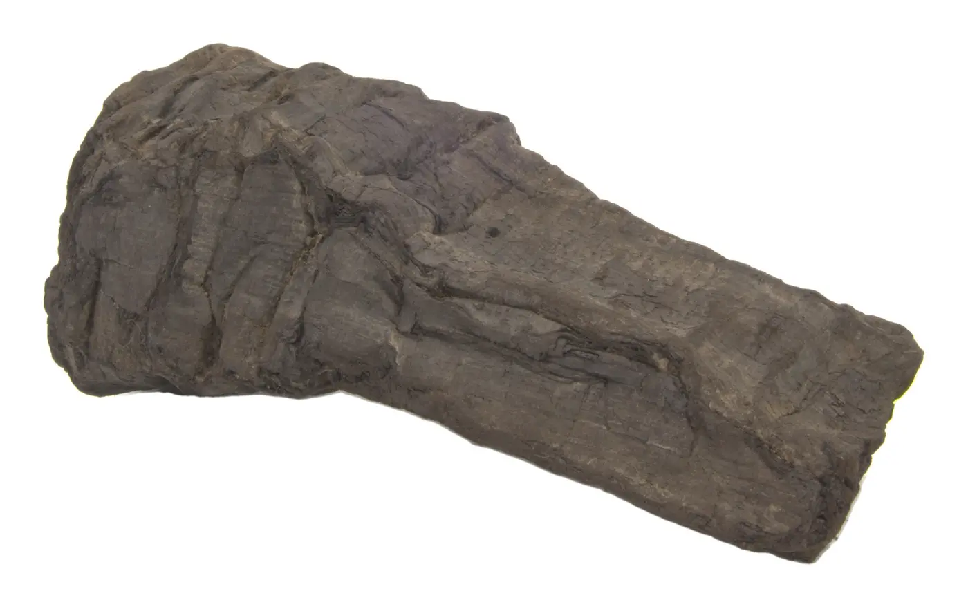 Photograph of PHerc. 846B