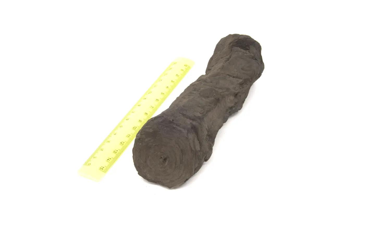 Photograph of PHerc1203
