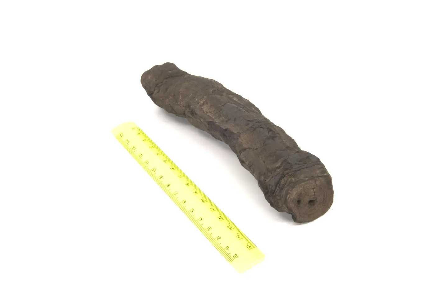 Photograph of PHerc1218