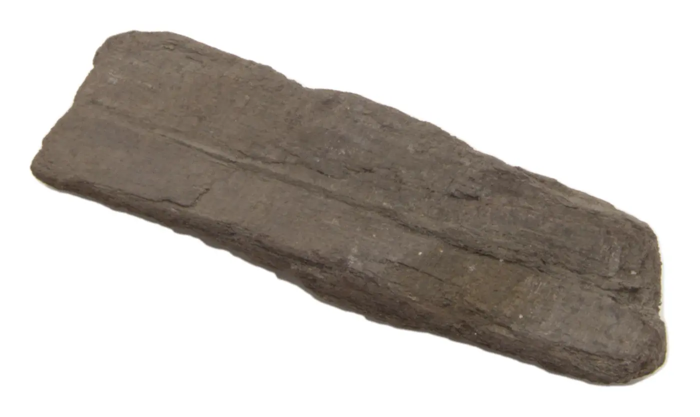 Photograph of PHerc. 1299