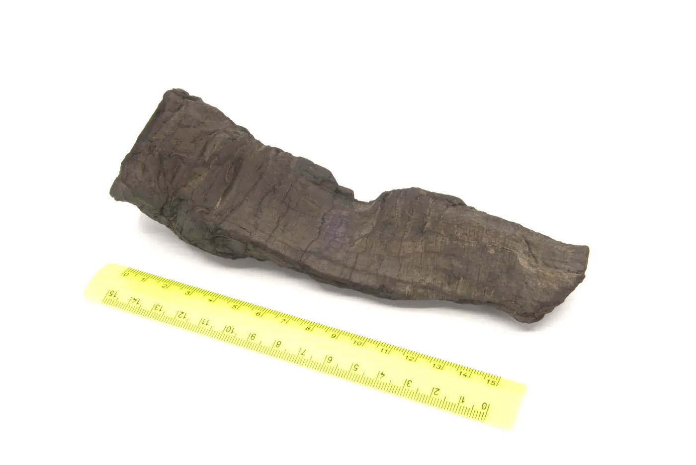Photograph of PHerc1545