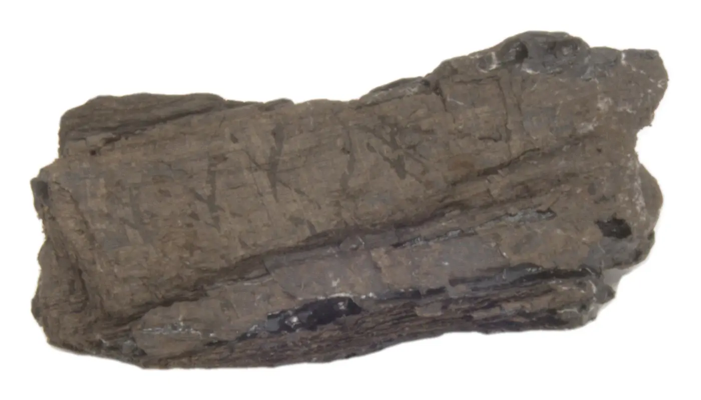Photograph of PHerc. MAN 5