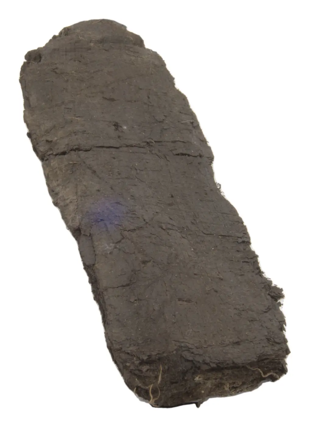 Photograph of PHerc. MANB