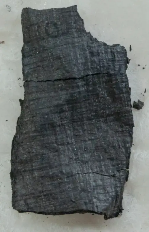 Photograph of PHercParis1Fr39