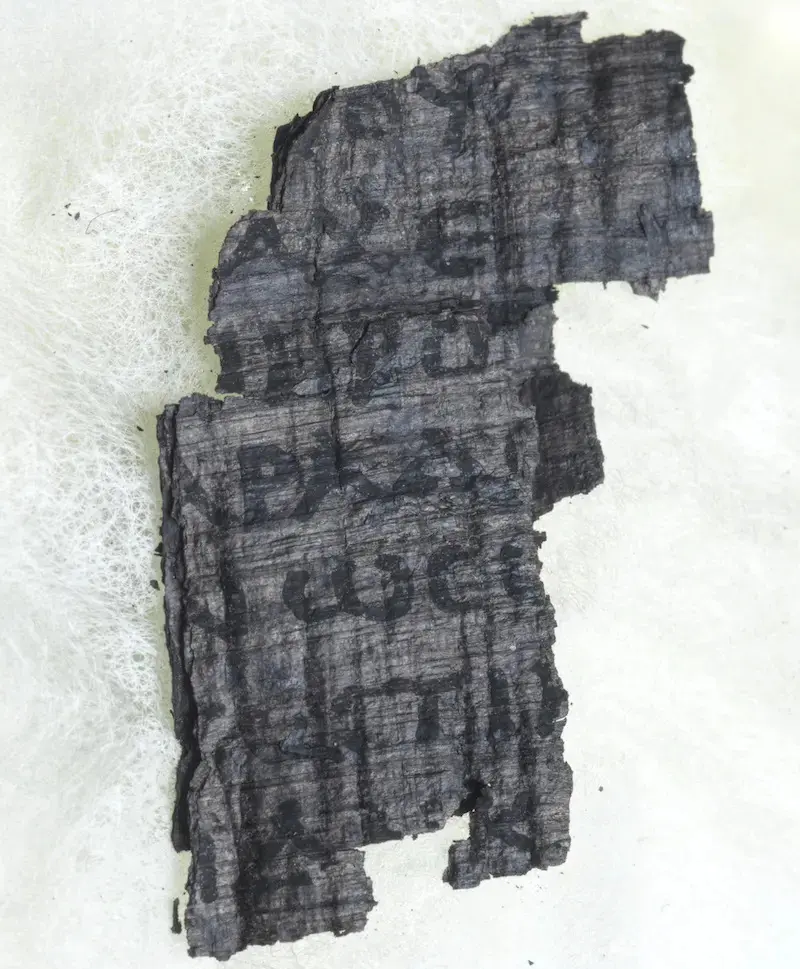 Photograph of PHercParis2Fr47