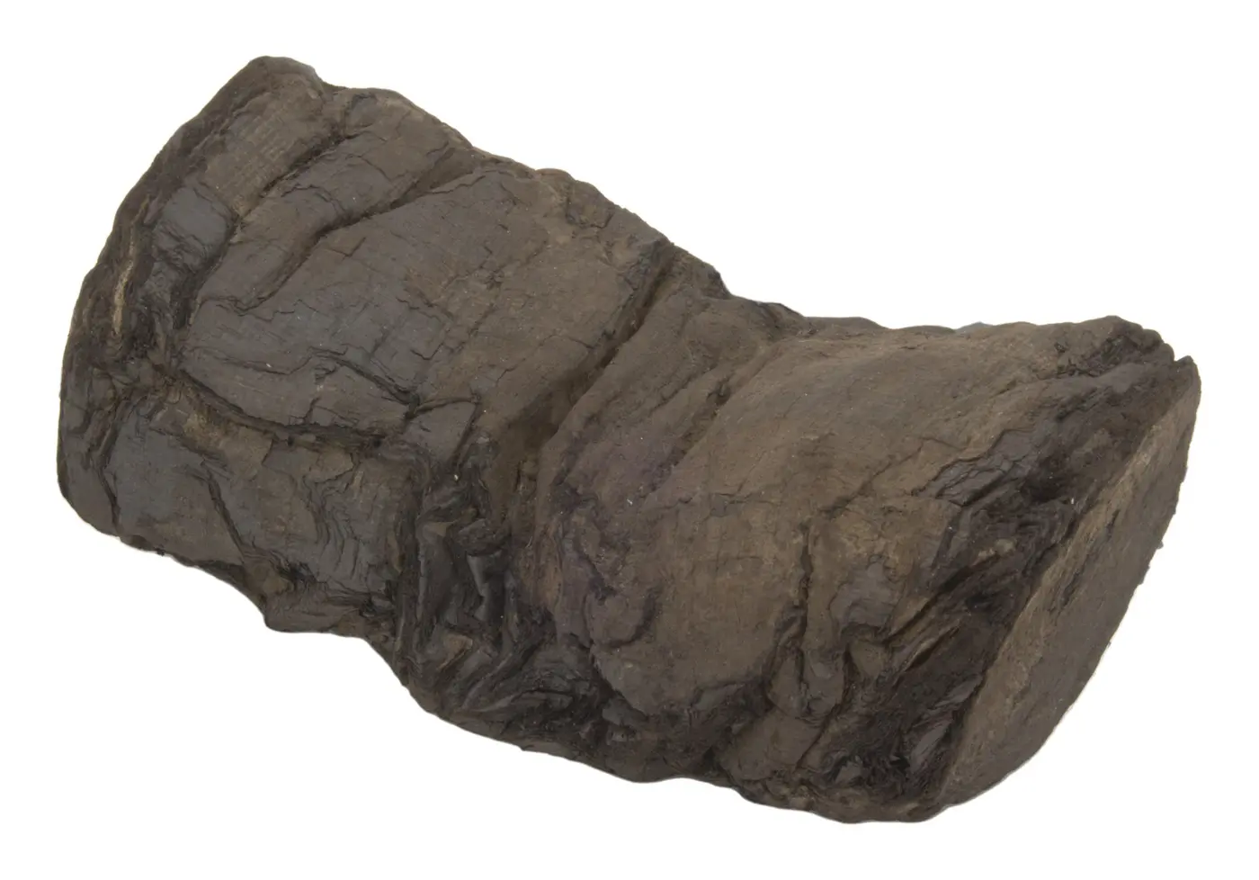 Photograph of PHerc. Paris 3