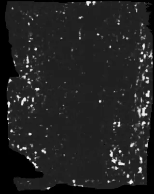 PHerc0009B ink prediction — segment 20250510172639