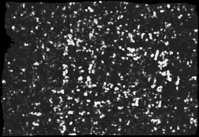 PHerc0009B ink prediction — segment 20250510172804