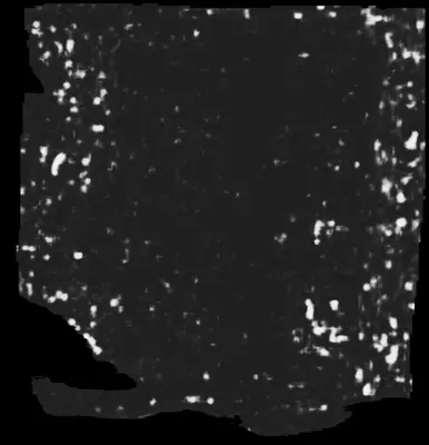 PHerc0009B ink prediction — segment 20250511200236