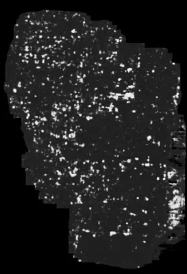 PHerc0009B ink prediction — segment auto_grown_20250919054722721_inp_hr