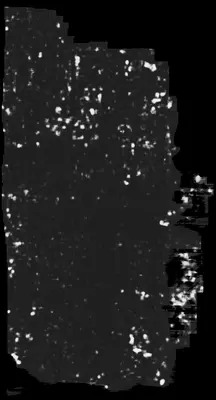 PHerc0009B ink prediction — segment auto_grown_20250919054917419_inp_hr