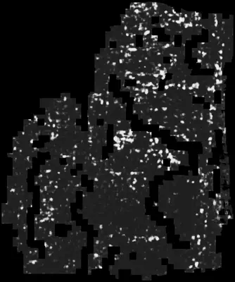 PHerc0009B ink prediction — segment auto_grown_20250919055302061