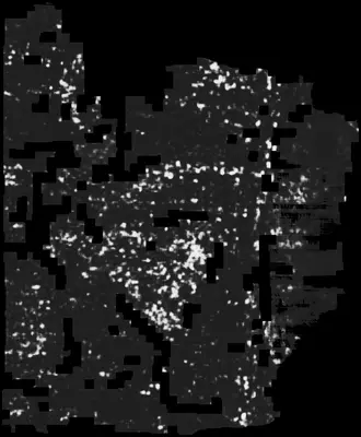 PHerc0009B ink prediction — segment auto_grown_20250919055605407