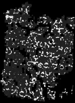 PHerc0009B ink prediction — segment auto_grown_20250919060642061