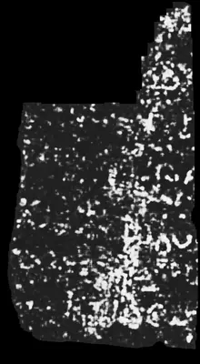 PHerc0009B ink prediction — segment auto_grown_20250919061642215_inp_hr