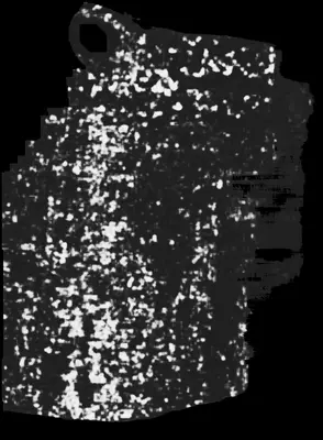 PHerc0009B ink prediction — segment auto_grown_20250919063208154_inp_hr