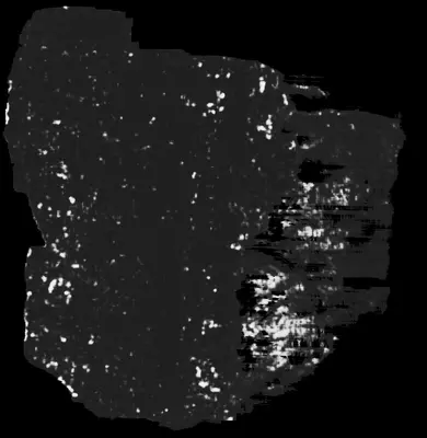 PHerc0009B ink prediction — segment auto_grown_20250919065433578_inp_hr