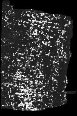 PHerc0009B ink prediction — segment auto_grown_20250919070325767_inp_hr