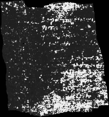 PHerc0139 ink prediction — segment w025