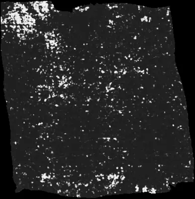 PHerc0139 ink prediction — segment w026