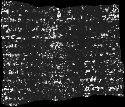 PHerc0139 ink prediction — segment w036