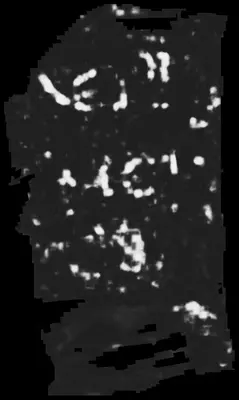 PHerc0343P ink prediction — segment tifxyz