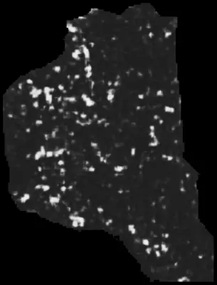 PHerc0343P ink prediction — segment -4_b2