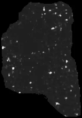 PHerc0343P ink prediction — segment -1_b2
