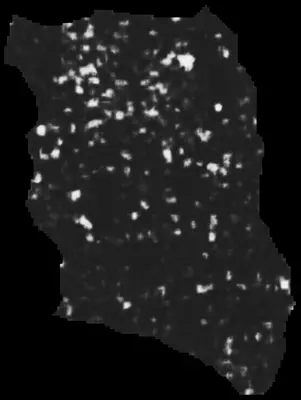 PHerc0343P ink prediction — segment 1_b2