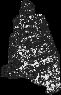 PHerc0500P2 ink prediction — segment z_dbg_gen_00302_inp_hr