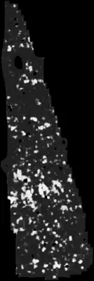 PHerc0500P2 ink prediction — segment z_dbg_gen_00130_inp_hr