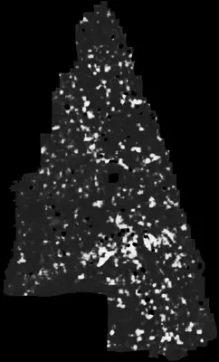 PHerc0500P2 ink prediction — segment z_dbg_gen_00331_inp_hr