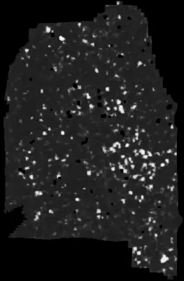 PHerc0500P2 ink prediction — segment z_dbg_gen_00286_inp_hr