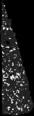 PHerc0500P2 ink prediction — segment z_dbg_gen_00205_inp_hr
