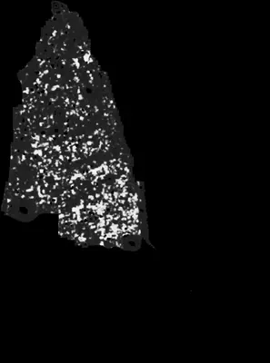 PHerc0500P2 ink prediction — segment z_dbg_gen_00308_inp_hr