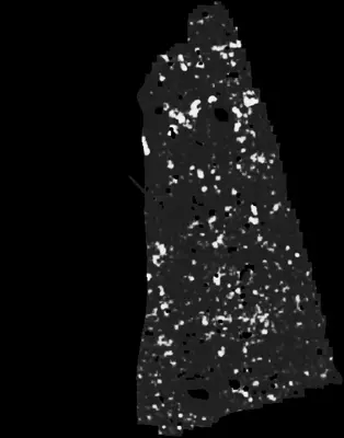 PHerc0500P2 ink prediction — segment z_dbg_gen_00506_inp_hr