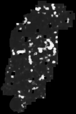 PHerc0500P2 ink prediction — segment z_dbg_gen_00260_inp_hr