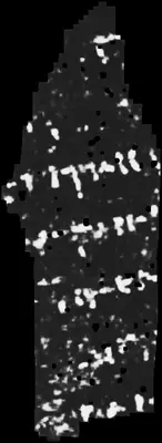 PHerc0500P2 ink prediction — segment z_dbg_gen_00371_inp_hr