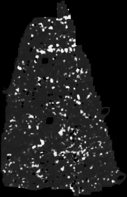 PHerc0500P2 ink prediction — segment z_dbg_gen_00377_inp_hr